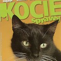 Kocie Sprawy