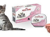 Royal Canin Polska zapłaci 2 mln zł kary za zmowę cenową