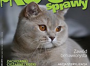 Kocie Sprawy marzec 2014