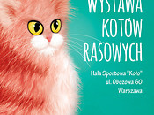 Wystawa kotów rasowych World Cat Federation PZF