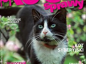 Majowy numer Kocich Spraw