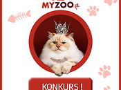 MyZoo i Świat Kotów zapraszają na konkurs!