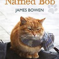 A Street Cat Named Bob