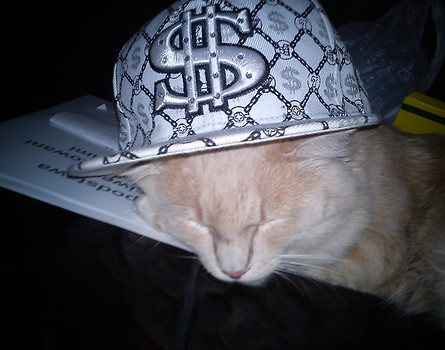 Tofik Raper :D