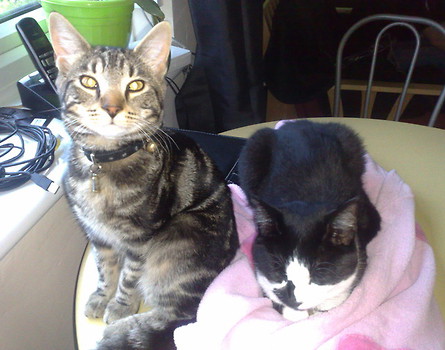 Indi i Smudge