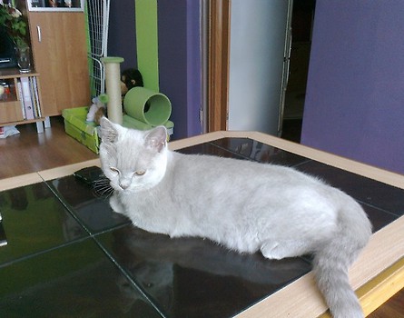 OSKAR