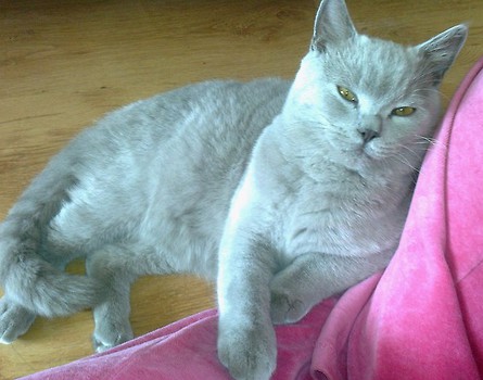OSKAR