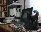 Moje ulubione miejsce