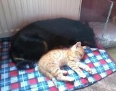 Stefanek i Ritka :)
