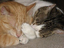 Rudi i Lulu