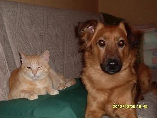 Rudi i Rondo