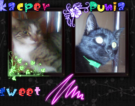 kacper i punia :)