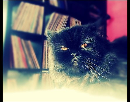 Biggie Smalls