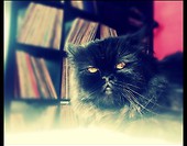 Biggie Smalls
