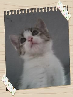 A oto ja !