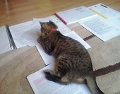 Ciężkie jest życie studenta.