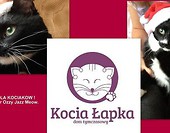 zostań kocim Mikołajem