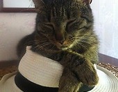 odpoczynek po pracowitej nocy