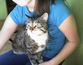 kiciek