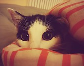 Fiona <3