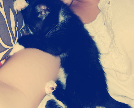 Lunka <3