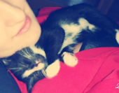 Luna moje szczęście <3