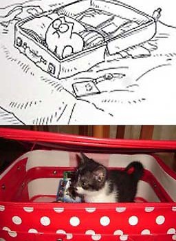 pozy kota Simona :)