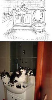 pozy kota Simona :)