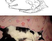 pozy kota Simona :)