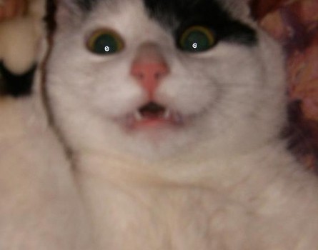 Mina numer 1