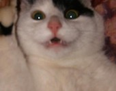 Mina numer 1