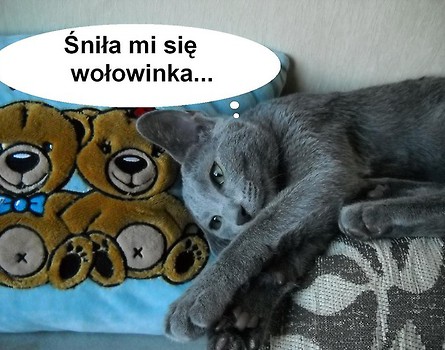 Dagusiowy sen2