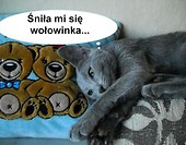 Dagusiowy sen2