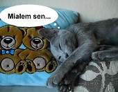 Dagusiowy sen1