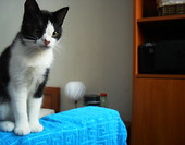 Marzec 2011