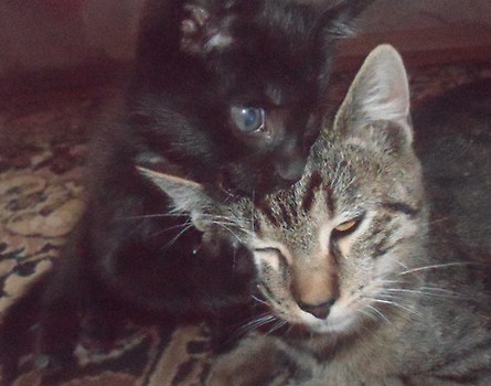 Benio i Borys