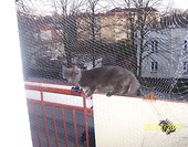 chciałam uciec ale niestety...