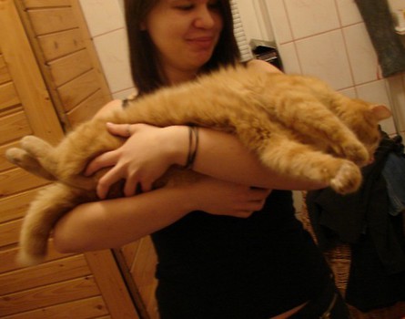 Z kocurem mym