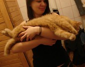 Z kocurem mym
