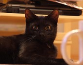 wielkie oczy:)