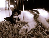 Lola:)