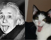 Język