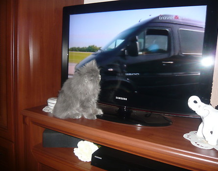 nie bądź tak blisko tv..!!