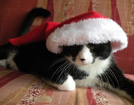 HO HO HO !!!
