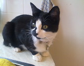 Smudge
