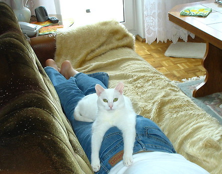 Mała wklejka