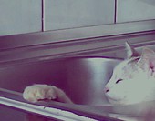 Relaks w zlewie cz. II