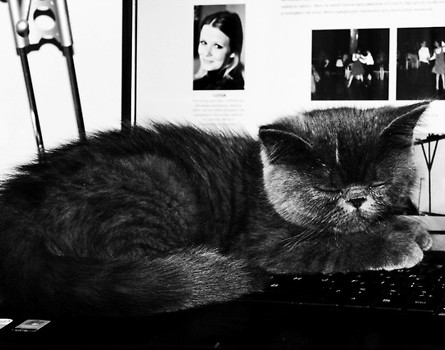 Taki mały dodatek do laptopa :)