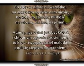 Bo koty....