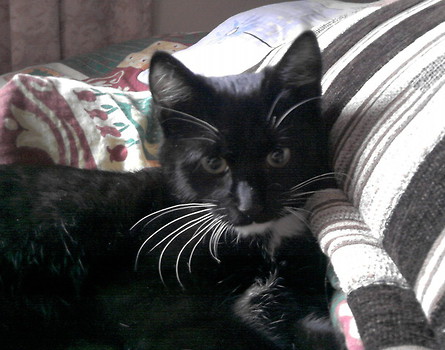 Filip